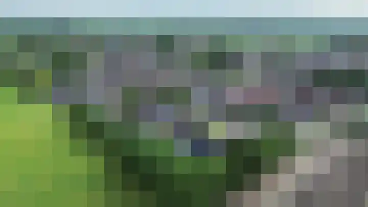 Lagestede 17 Zegge thumbnail 37