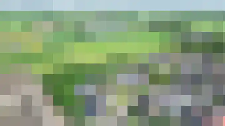 Lagestede 17 Zegge thumbnail 38