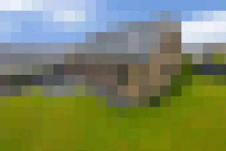 Lagestede 17 Zegge thumbnail 4