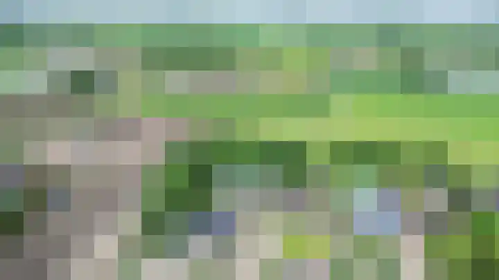 Lagestede 17 Zegge thumbnail 40