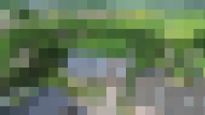 Lagestede 17 Zegge thumbnail 41