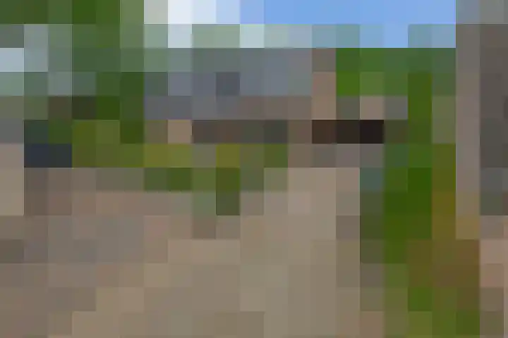 Lagestede 17 Zegge thumbnail 5