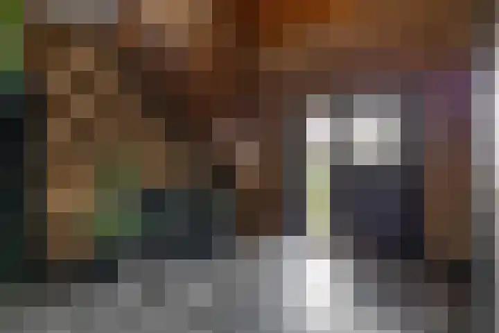 Lagestede 17 Zegge thumbnail 6