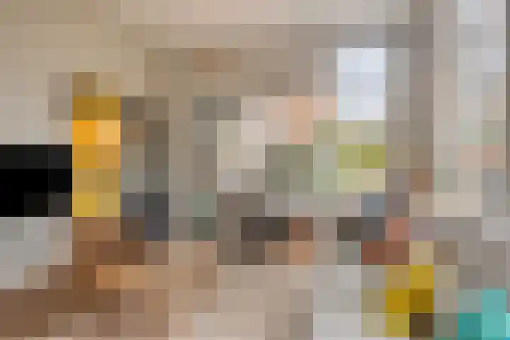 Lagestraat 1 Dieren thumbnail 13