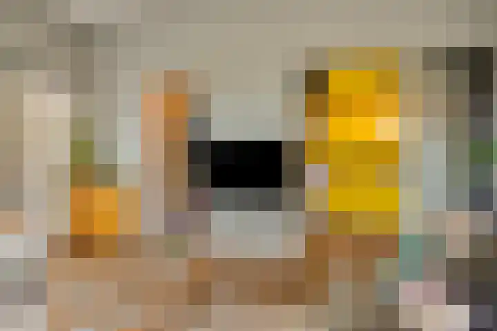 Lagestraat 1 Dieren thumbnail 15
