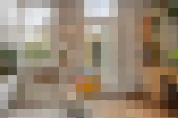 Lagestraat 1 Dieren thumbnail 17