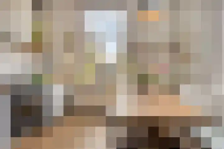 Lagestraat 1 Dieren thumbnail 20