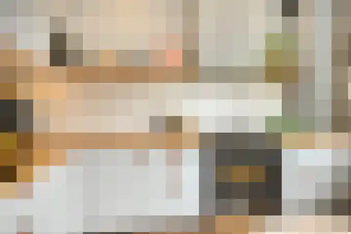 Lagestraat 1 Dieren thumbnail 22