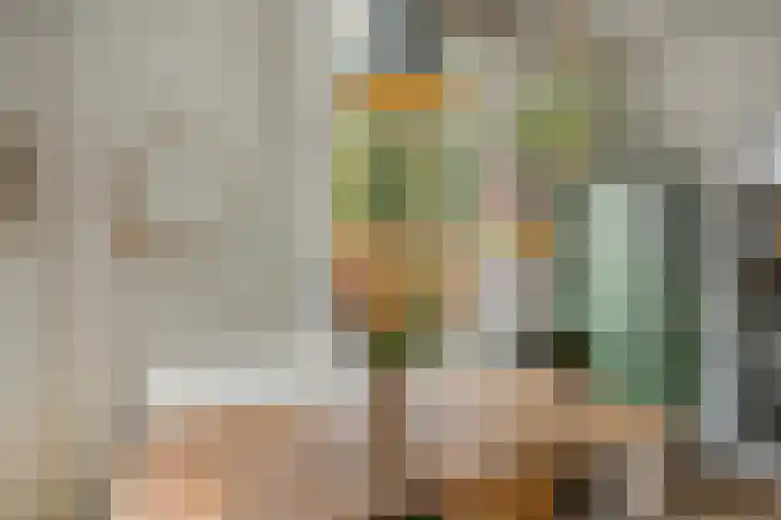 Lagestraat 1 Dieren thumbnail 24