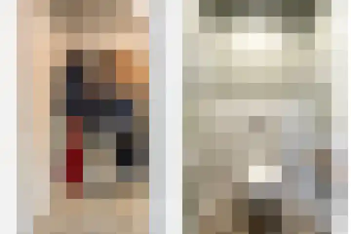 Lagestraat 1 Dieren thumbnail 26
