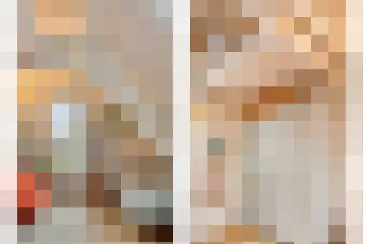Lagestraat 1 Dieren thumbnail 32
