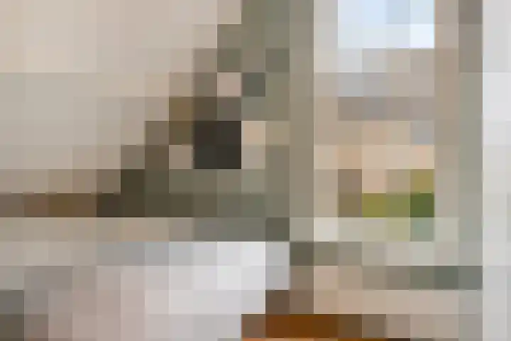Lagestraat 1 Dieren thumbnail 36