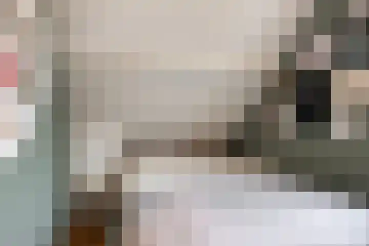 Lagestraat 1 Dieren thumbnail 37