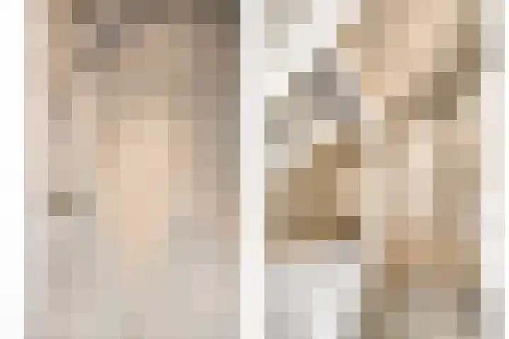 Lagestraat 1 Dieren thumbnail 39