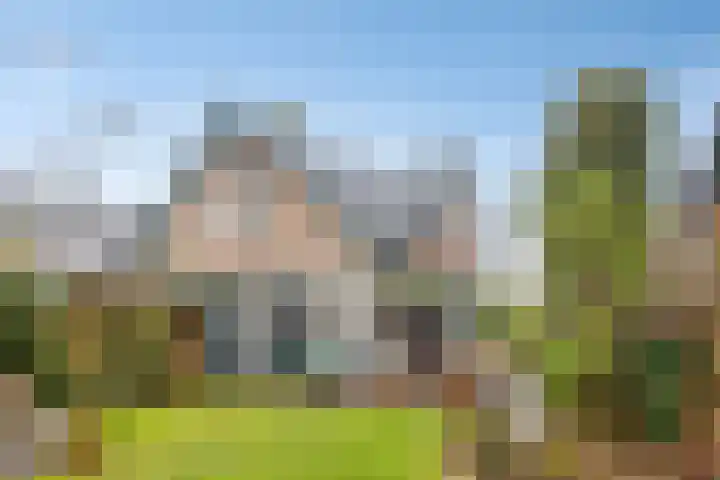Lagestraat 1 Dieren thumbnail 42
