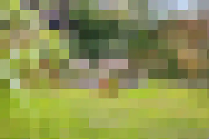 Lagestraat 1 Dieren thumbnail 45