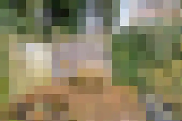 Lagestraat 1 Dieren thumbnail 46