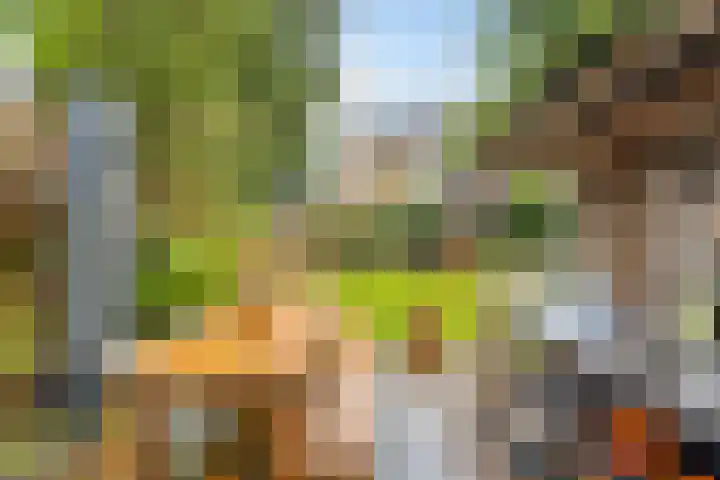 Lagestraat 1 Dieren thumbnail 47