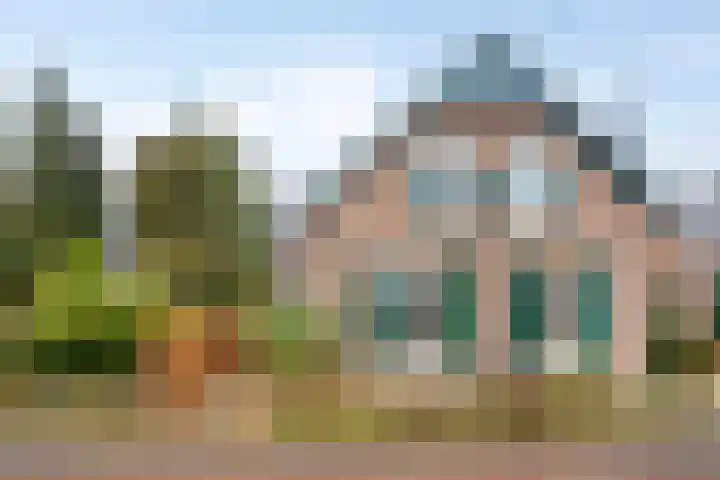 Lagestraat 1 Dieren thumbnail 5
