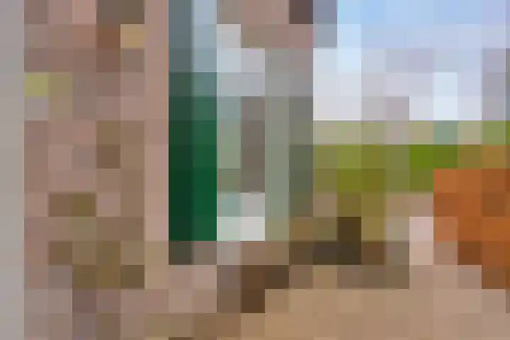 Lagestraat 1 Dieren thumbnail 50
