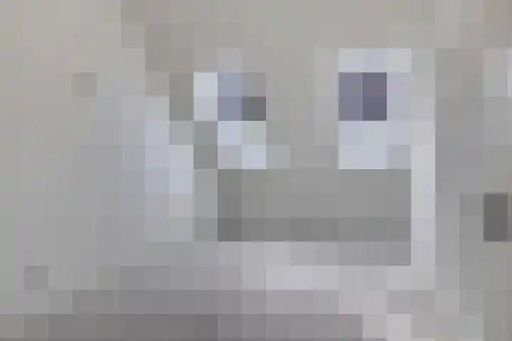 Lagestraat 10 Loppersum thumbnail 34