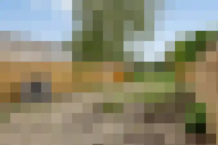Lagestraat 10 Loppersum thumbnail 36