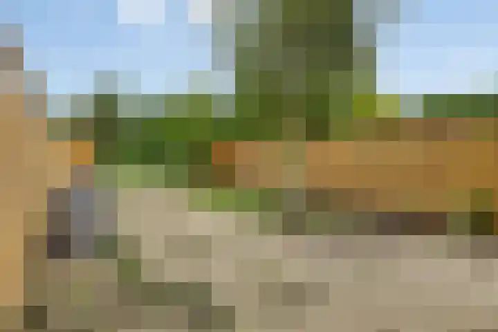 Lagestraat 10 Loppersum thumbnail 37