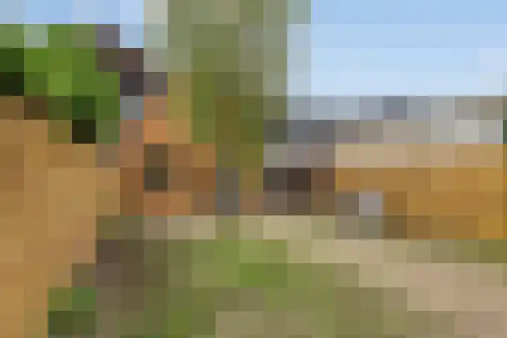 Lagestraat 10 Loppersum thumbnail 38