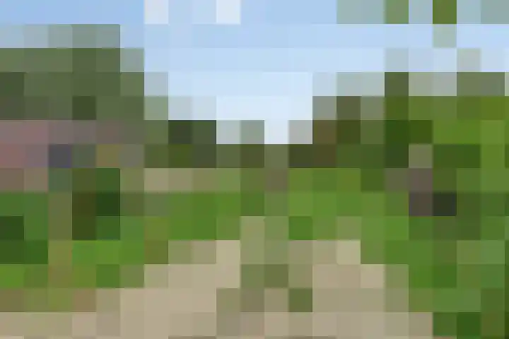 Lagestraat 10 Loppersum thumbnail 39