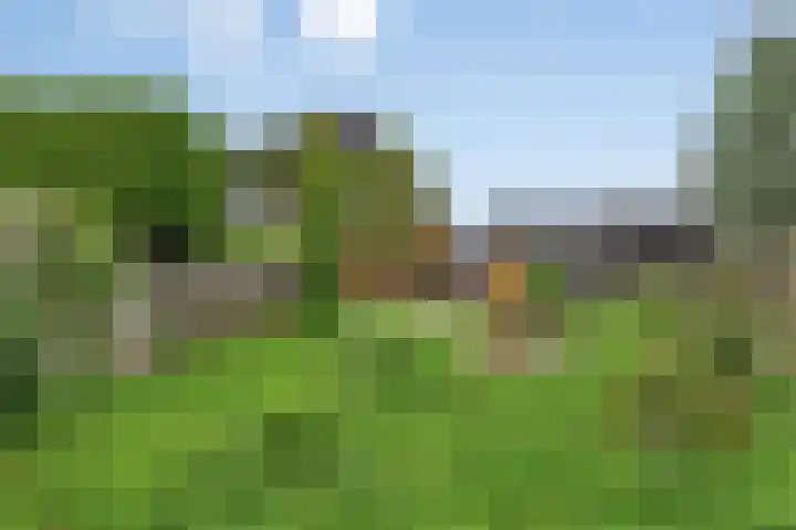 Lagestraat 10 Loppersum thumbnail 40