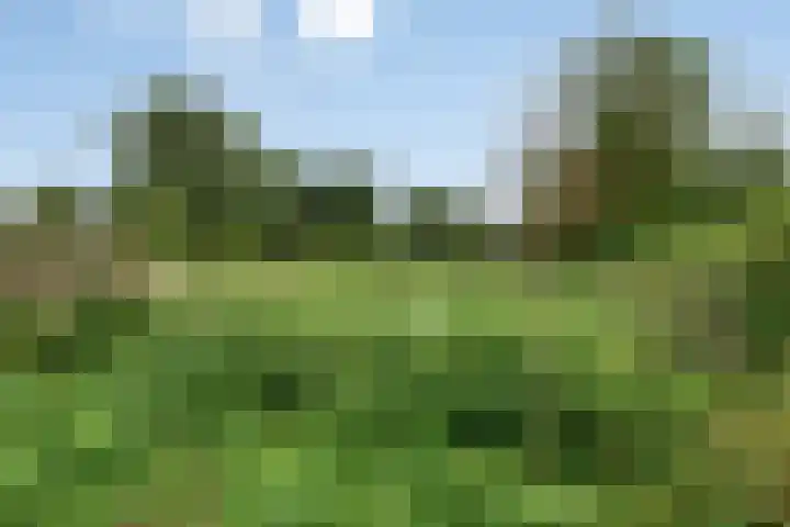 Lagestraat 10 Loppersum thumbnail 41