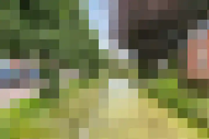 Lagestraat 10 Loppersum thumbnail 43