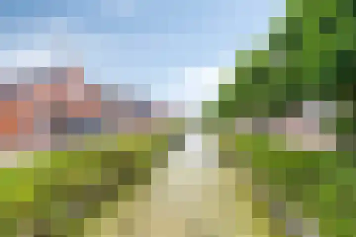 Lagestraat 10 Loppersum thumbnail 45