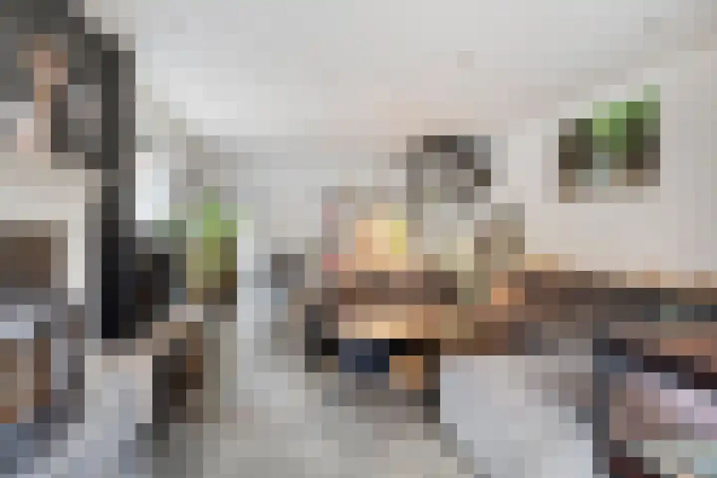 Lagestraat 11 Rijsbergen thumbnail 11