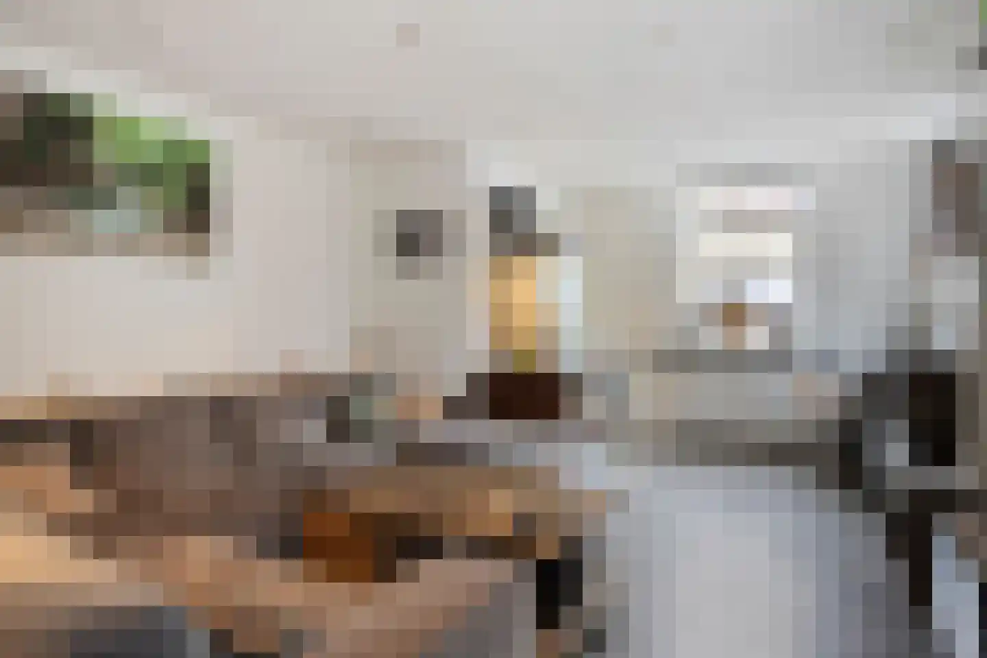 Lagestraat 11 Rijsbergen thumbnail 12