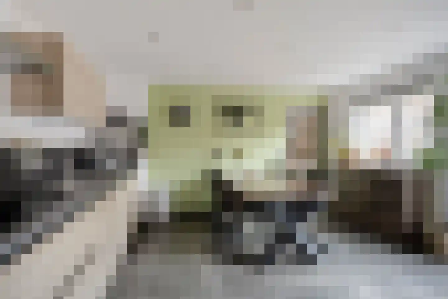 Lagestraat 11 Rijsbergen thumbnail 16