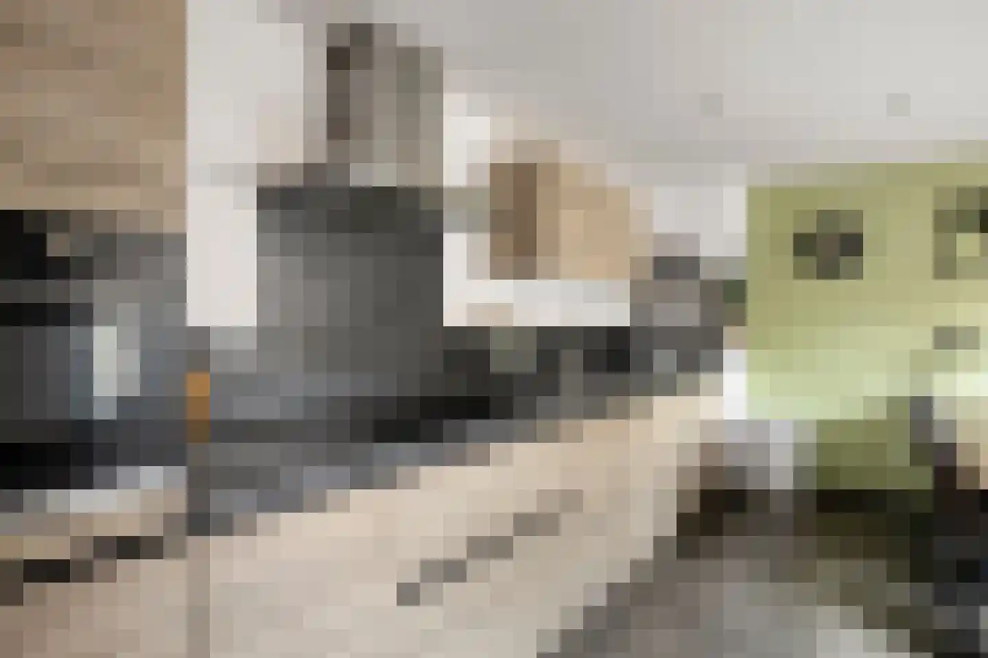 Lagestraat 11 Rijsbergen thumbnail 17