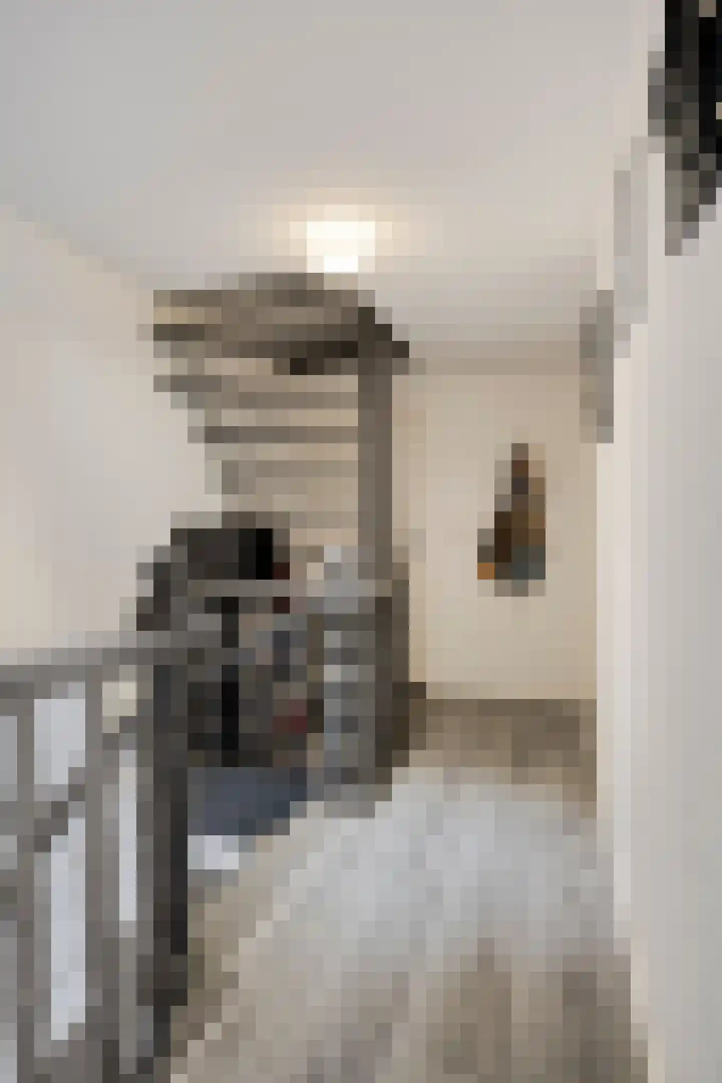 Lagestraat 11 Rijsbergen thumbnail 23