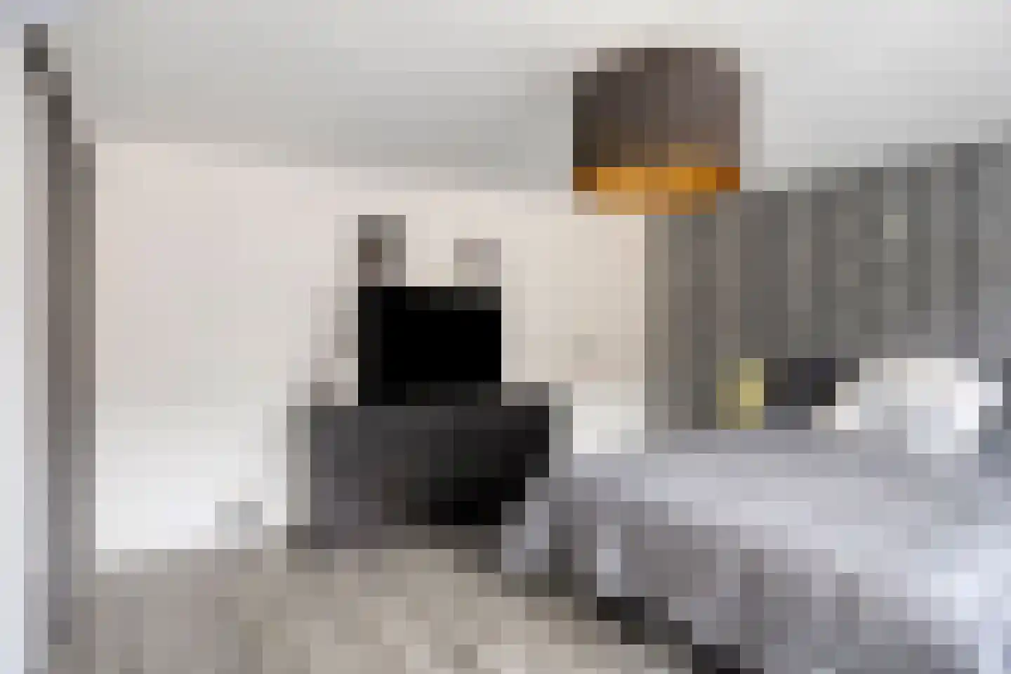 Lagestraat 11 Rijsbergen thumbnail 25