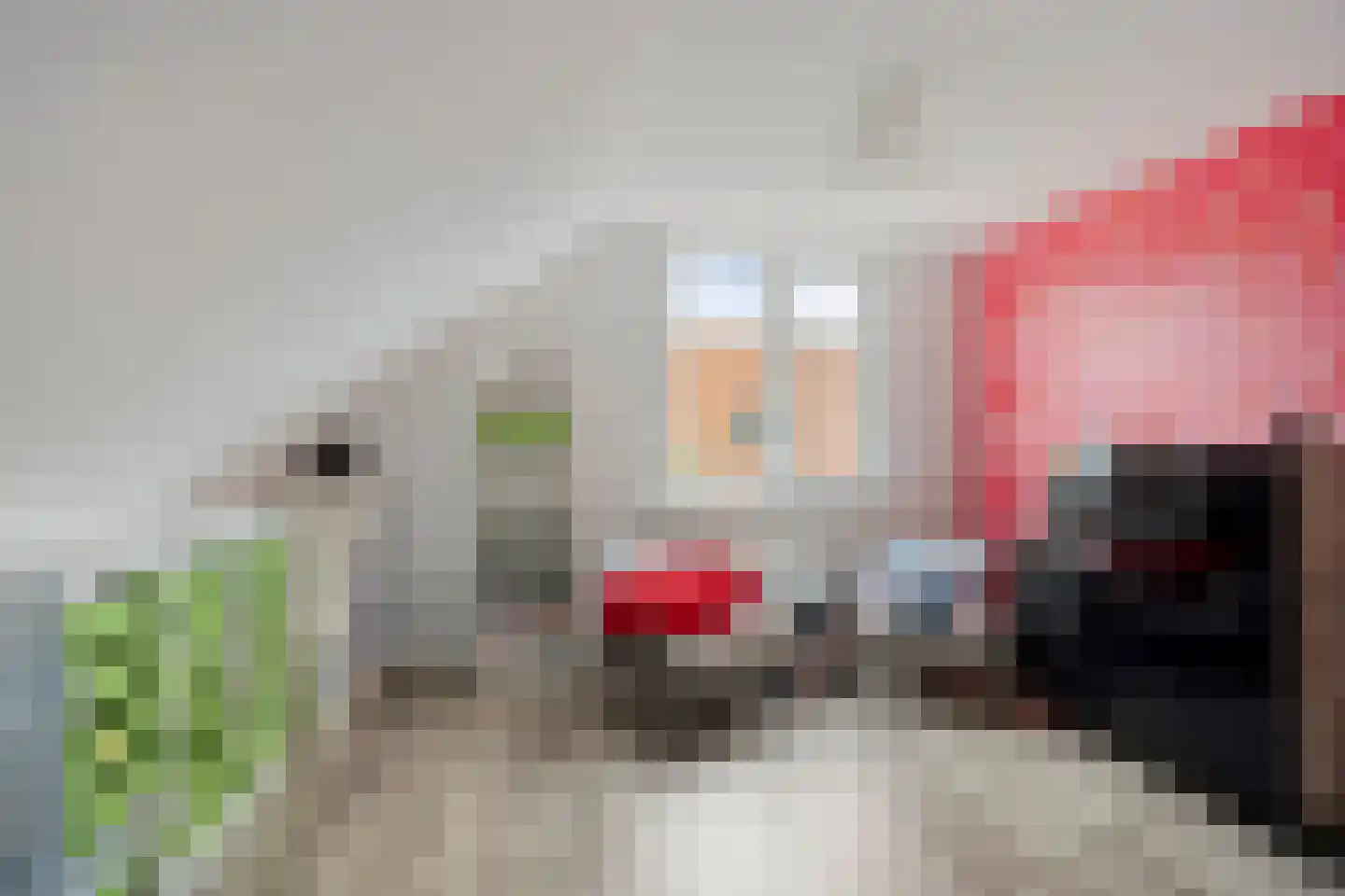 Lagestraat 11 Rijsbergen thumbnail 28