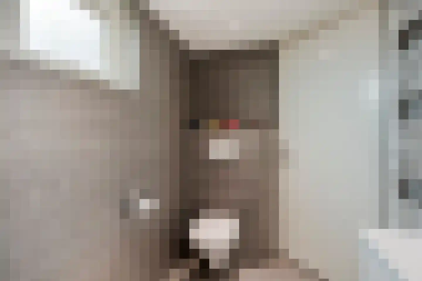 Lagestraat 11 Rijsbergen thumbnail 32