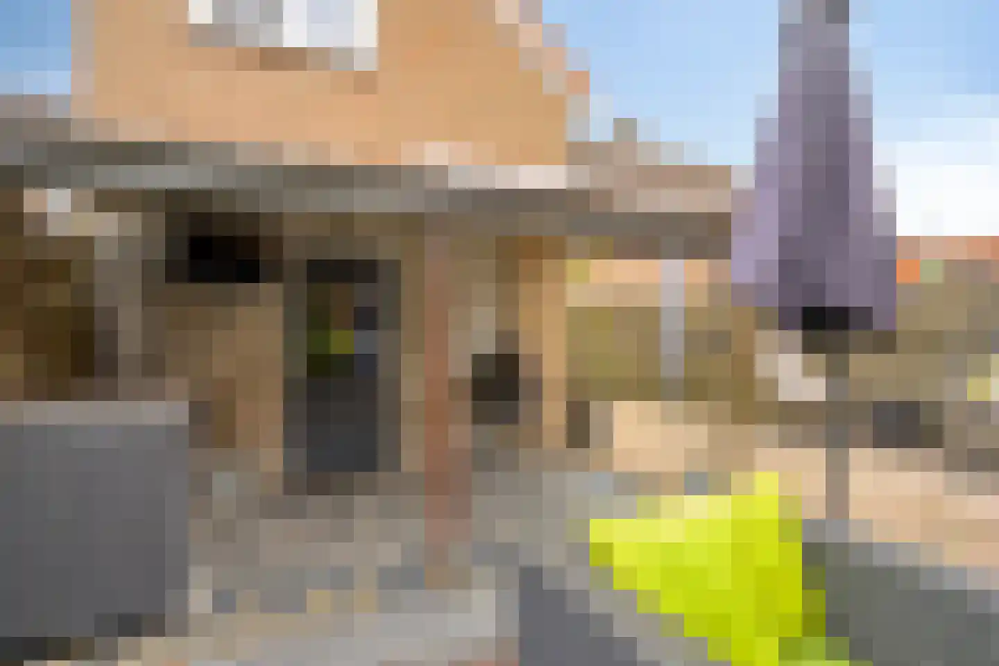 Lagestraat 11 Rijsbergen thumbnail 37