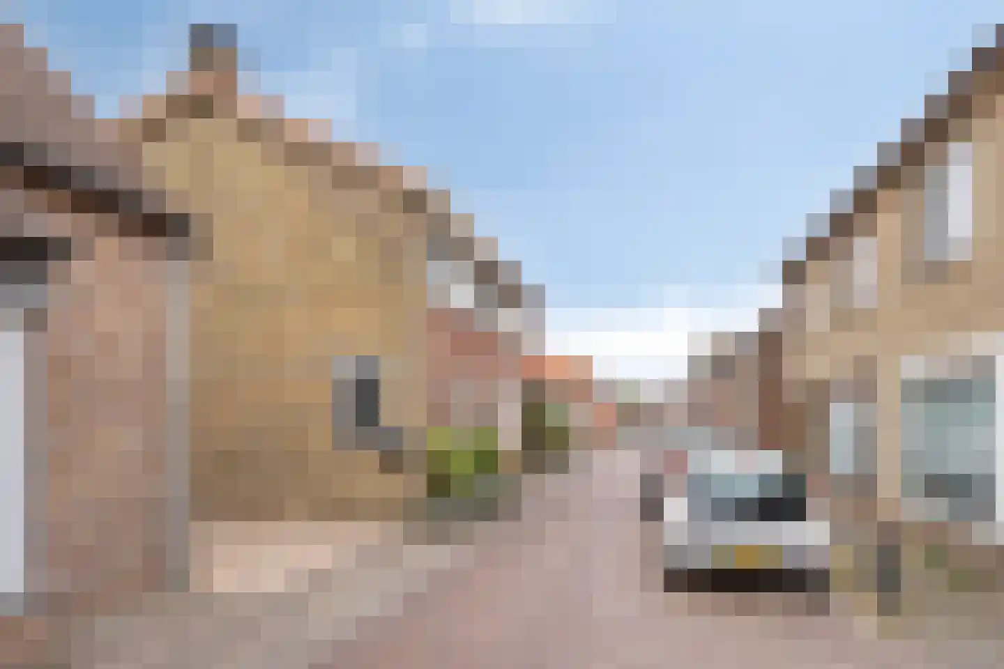 Lagestraat 11 Rijsbergen thumbnail 7