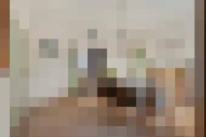 Lagestraat 24 Rijsbergen thumbnail 12