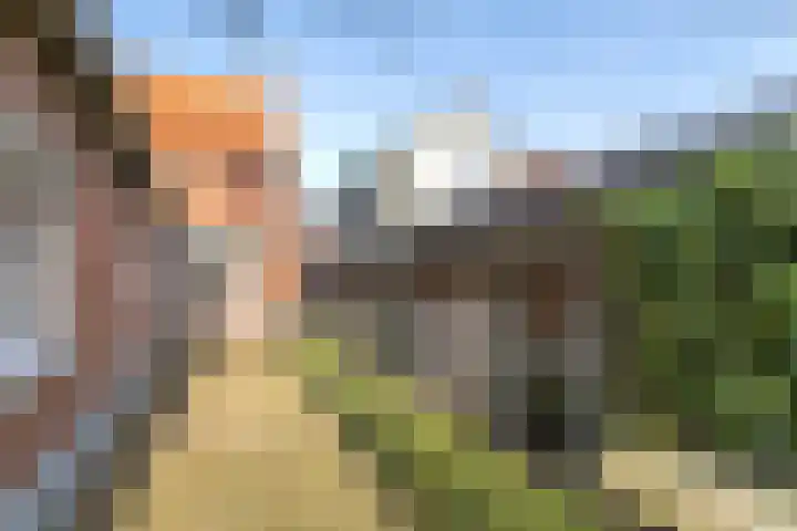 Lagestraat 24 Rijsbergen thumbnail 26