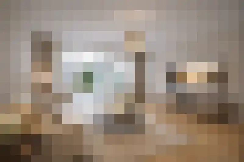 Lagestraat 25 c Rijsbergen foto 3