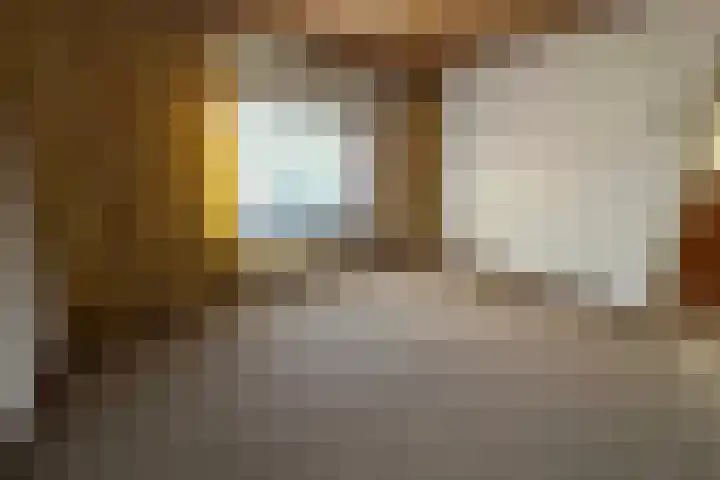 Lagestraat 29 Rijsbergen thumbnail 32