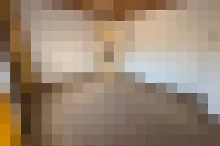 Lagestraat 29 Rijsbergen thumbnail 33