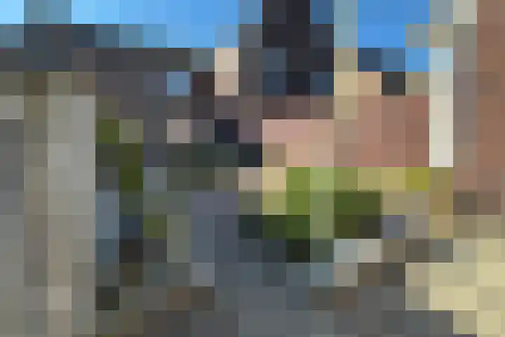 Lagestraat 29 Rijsbergen thumbnail 39
