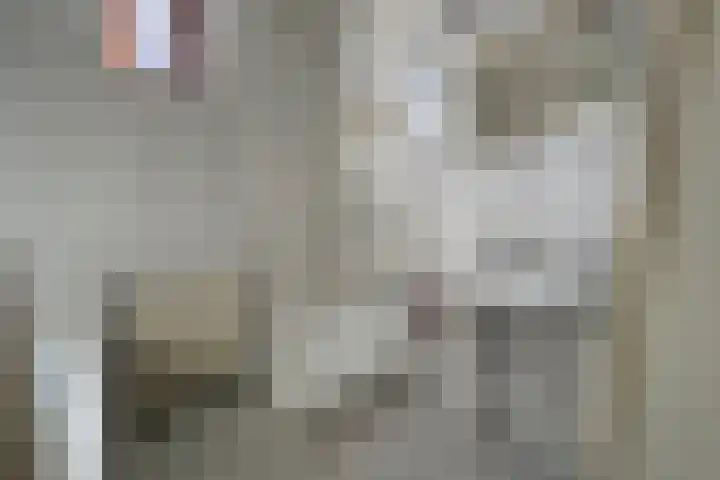 Lagestraat 29 Rijsbergen thumbnail 4